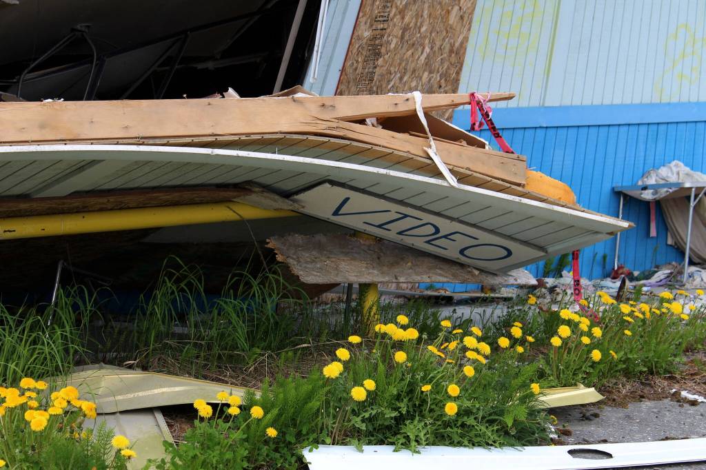 Dandelions bloom around building materials piled at the site of the former ZipMart on Wednesday, June 14, 2023, in Sterling, Alaska. (Ashlyn OHara/Peninsula Clarion)