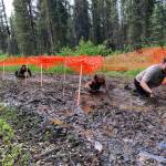 Muddy runners move down the Tsalteshi Trails Porcupine Loop in Soldotna, Alaska, as they participate in the KDLL Mud Run on Friday, June 16, 2023. (Photo provided by KDLL 91.9 FM)