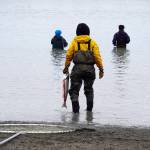 An angler stands with a fish at the mouth of the Kasilof River on Monday, June 26, 2023, in Kasilof, Alaska. (Jake Dye/Peninsula Clarion)