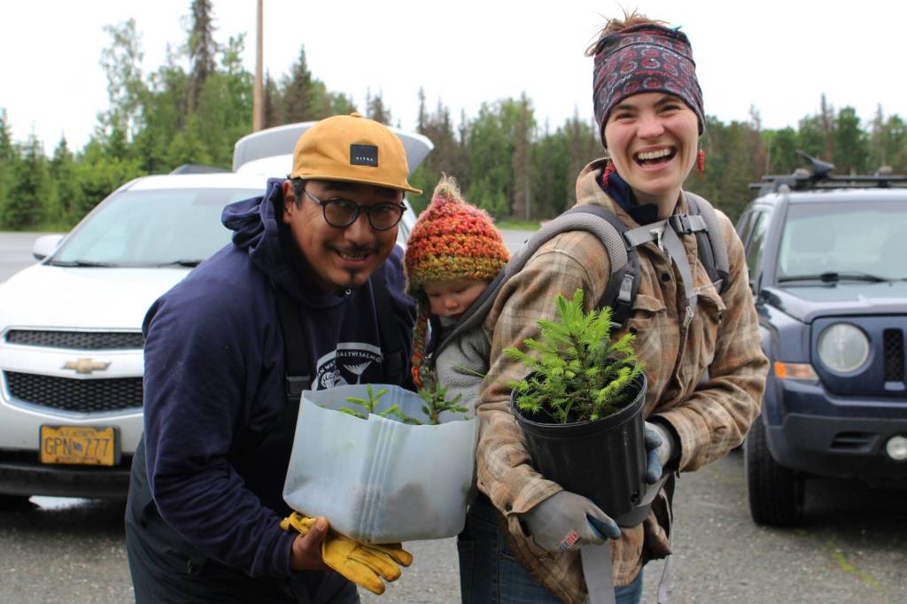 From left, David Knight, Skadi Vadla and Kaitlin Vadla hold repotted white spruce trees near the Soldotna Regional Sports Complex on Tuesday, June 27, 2023 in Soldotna, Alaska. (Ashlyn OHara/Peninsula Clarion)