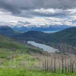 Skyline Trail, June 25, 2023. (Photo by Jeff Helminiak/Peninsula Clarion)