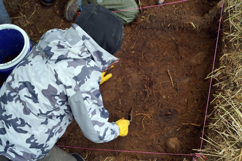 One of the interns working with Salamatof Tribe Duhdeldiht Youth Services digs through a layer of soil at an archeological site near Nikiski, Alaska, on Tuesday, June 27, 2023. (Jake Dye/Peninsula Clarion)