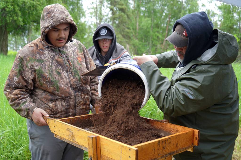 Marcus Wong sifts through a soil sample poured by Michael Bernard at an archeological site near Nikiski, Alaska, on Tuesday, June 27, 2023. (Jake Dye/Peninsula Clarion)
