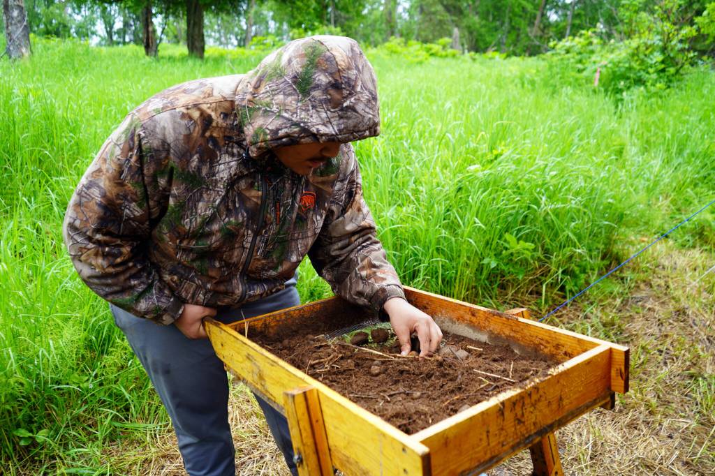 Marcus Wong sifts through a soil sample at an archeological site near Nikiski, Alaska, on Tuesday, June 27, 2023. (Jake Dye/Peninsula Clarion)
