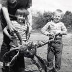 Grace, Heidi, live king crab, EricSeafood was another benefit of life in Homer. Pictured here in July 1961, Grace holds a live king crab, with assistance from daughter Heidi and son Eric. (Photo courtesy of the Fenger Family Collection)