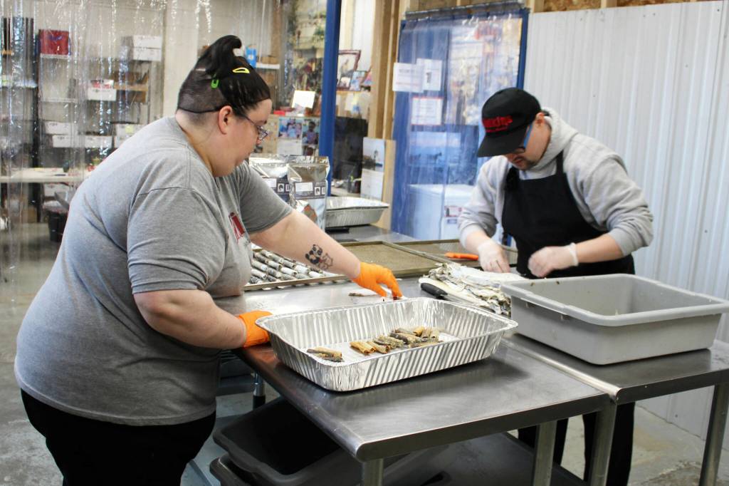 AlaSkins employees Lillie VanDevere (left) and Jeramie Davis (right) roll cod skins that will ultimately be sold as pet treats at AlaSkins on Thursday, July 6, 2023 in Soldotna, Alaska. (Ashlyn OHara/Peninsula Clarion)