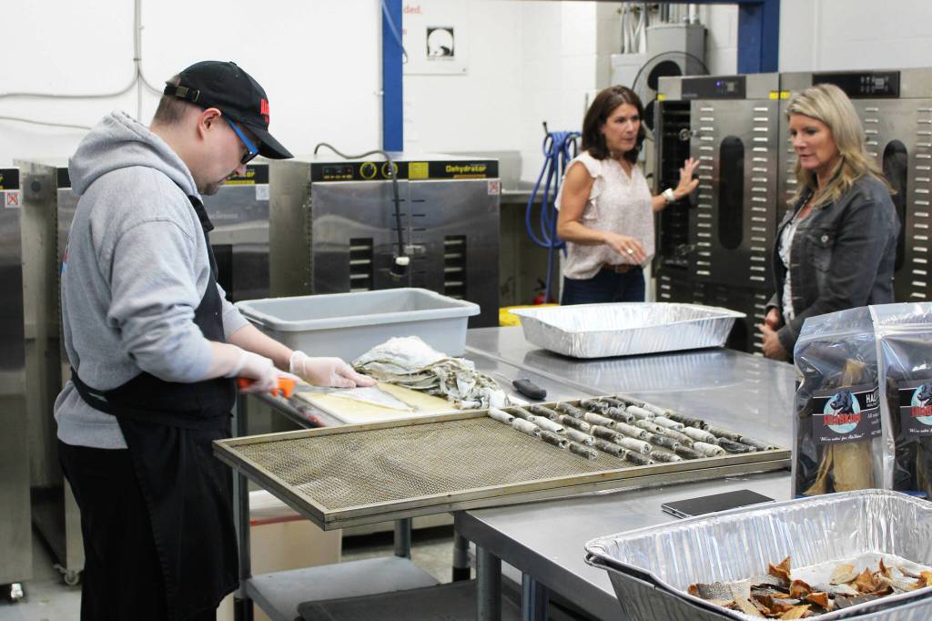 AlaSkins employee Jeramie Davis (left) slices and rolls cod skins that will ultimately be sold as pet treats at AlaSkins on Thursday, July 6, 2023 in Soldotna, Alaska. (Ashlyn OHara/Peninsula Clarion)