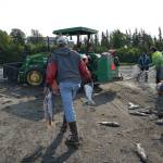 Gary Hollier carries sockeye salmon up to a waiting container at a test site for selective harvest setnet gear in Kenai, Alaska, on Tuesday, July 25, 2023. (Jake Dye/Peninsula Clarion)
