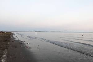 Sockeye salmon carcasses line the shore at North Kenai Beach, Tuesday, July 25, 2023, in Kenai, Alaska. The daily number of sockeye salmon counted by sonar in the Kenai River surpassed 100,000 for the first time this year on Tuesday. (Photo by Erin Thompson/Peninsula Clarion)