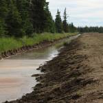 A canal full of water runs along a Kenai Peninsula Borough right-of-way on Friday, July 21, 2023 near Kenai, Alaska. (Ashlyn OHara/Peninsula Clarion)
