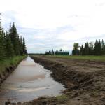 A canal full of water runs along a Kenai Peninsula Borough right-of-way on Friday, July 21, 2023 near Kenai, Alaska. (Ashlyn OHara/Peninsula Clarion)