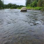 The Anchor River flows in the Anchor Point State Recreation Area on Saturday, Aug. 5, 2023 in Anchor Point, Alaska. (Delcenia Cosman/Homer News)