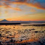 Artwork donated for the Harvest Auction hangs at the Kenai Art Center in Kenai, Alaska, on Tuesday, Aug. 29, 2023. (Jake Dye/Peninsula Clarion)