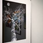 Artwork donated for the Harvest Auction hangs at the Kenai Art Center in Kenai, Alaska, on Tuesday, Aug. 29, 2023. (Jake Dye/Peninsula Clarion)