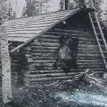 Photo courtesy of the Lancashire Family Collection
This is the original Lancashire homestead cabin, completed in the fall of 1948. Before this, the family lived in a large wall tent on their property.