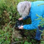 Victoria Askin photographs a headstone in the Kenai Cemetery as part of a city imaging project on Friday, Sept. 8, 2023, in Kenai, Alaska. (Ashlyn OHara/Peninsula Clarion)