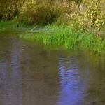 Water pools alongside Big Eddy Road in Soldotna, Alaska, on Wednesday, Sept. 13, 2023. (Jake Dye/Peninsula Clarion)