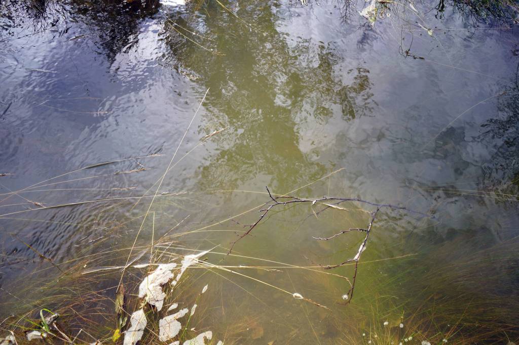 Water pools alongside Big Eddy Road in Soldotna, Alaska, on Wednesday, Sept. 13, 2023. (Jake Dye/Peninsula Clarion)