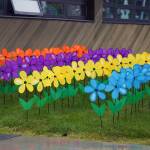 Promise garden flowers are assembled for the Walk to End Alzheimers at the Soldotna Regional Sports Complex in Soldotna, Alaska, on Saturday, Sept. 16, 2023. (Jake Dye/Peninsula Clarion)