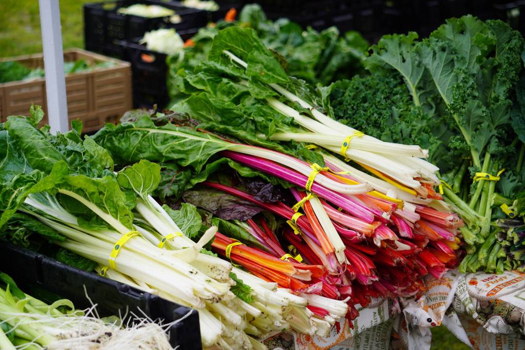 Stacks of rhubarb stalks are ready for sale during the Harvest Moon Local Food Festival at Soldotna Creek Park in Soldotna, Alaska, on Saturday, Sept. 16, 2023. (Jake Dye/Peninsula Clarion)