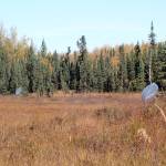 Long hauls with the canoe. (Photo by Matt Bowser/USFWS)