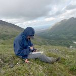 A U.S. Fish and Wildlife Service volunteer intern collects data in the Alpine. (Photo by Jackie Morton/USFWS)