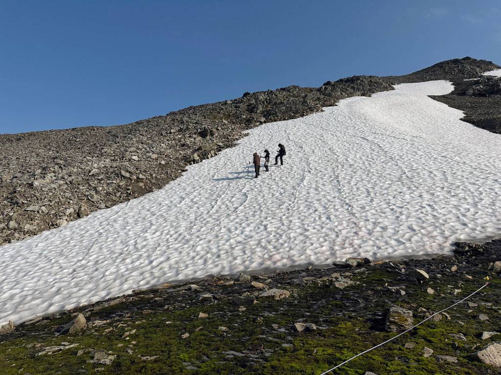 Working in the alpine to measure vegetation response to fire. (Photo by Jackie Morton/USFWS)
