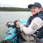 Friends of Alaska National Wildlife Refuges volunteer Beth Sullivan surveys for the invasive plant elodea at Campfire Lake on the Kenai National Wildlife Refuge on Aug. 30, 2023. Here she pulled up a rake full of star duckweed (Lemna trisulca). (Photo by Matt Bowser/USFWS)