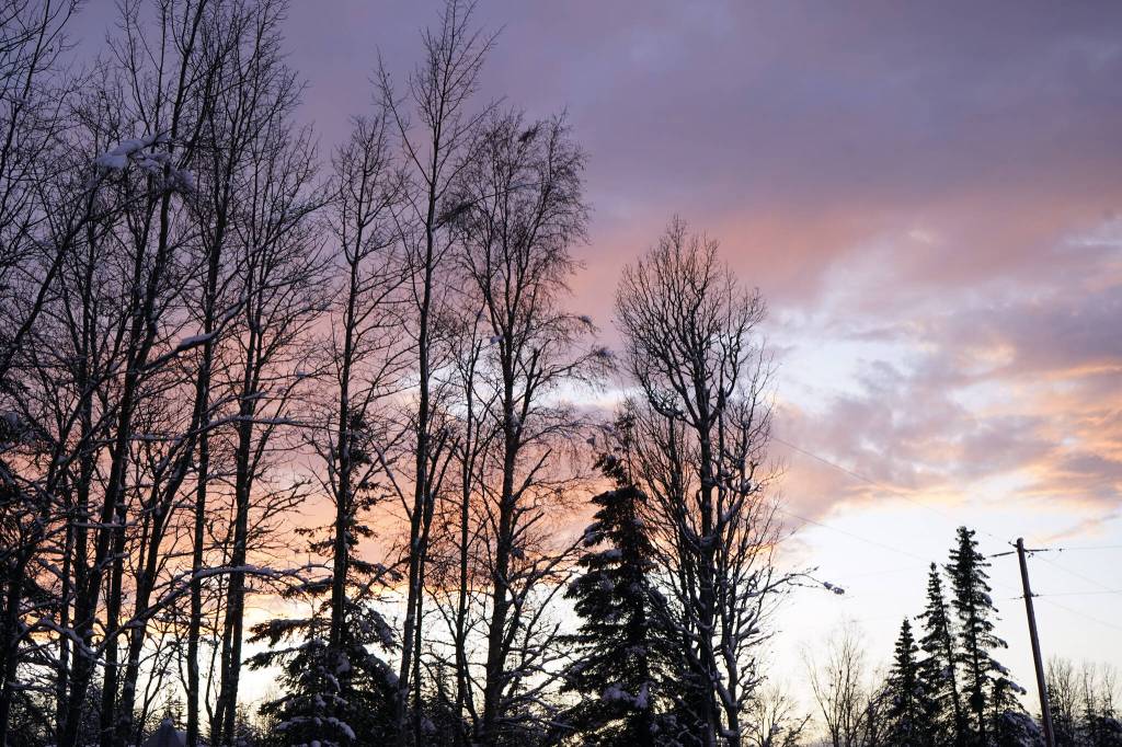 Tree branches covered in snow stretch out over powerlines along Murwood Avenue in Soldotna, Alaska, on Wednesday, Nov. 15, 2023. (Jake Dye/Peninsula Clarion)