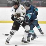 Andy Larson of the Kenai River Brown Bears and Camden Shasby of the Anchorage Wolverines battle for the puck Saturday, Nov. 18, 2023, at the Soldotna Regional Sports Complex in Soldotna, Alaska. (Photo by Jeff Helminiak/Peninsula Clarion)