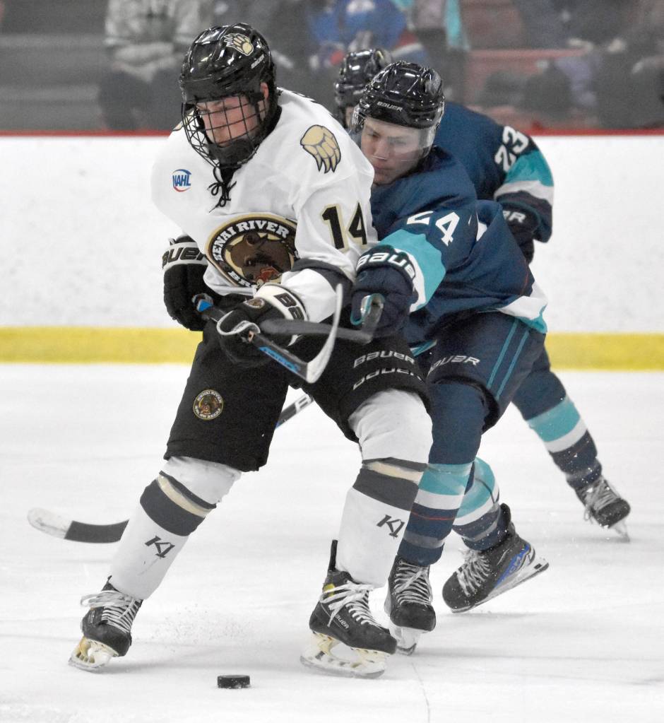 Andy Larson of the Kenai River Brown Bears and Camden Shasby of the Anchorage Wolverines battle for the puck Saturday, Nov. 18, 2023, at the Soldotna Regional Sports Complex in Soldotna, Alaska. (Photo by Jeff Helminiak/Peninsula Clarion)