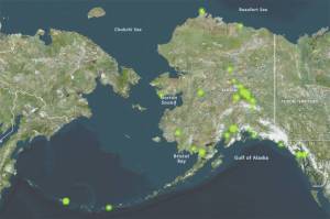 This screenshot of an Alaska Department of Environmental Conservation map of PFAS sites in Alaska shows that contamination from so-called forever chemicals is observable throughout the state. (Screenshot | Alaska Department of Environmental Conservation)