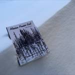 A copy of Judy Johnsons Alaskan Pioneer Girl rests in the snow on Sunday, December 24, 2023 near Soldotna, Alaska. (Ashlyn OHara/Peninsula Clarion)