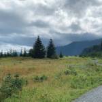 Ashlyn OHara/Peninsula Clarion
Clouds cover the beach at Lowell Point State Recreation Site on Tuesday, Sept. 5, 2023, near Seward.