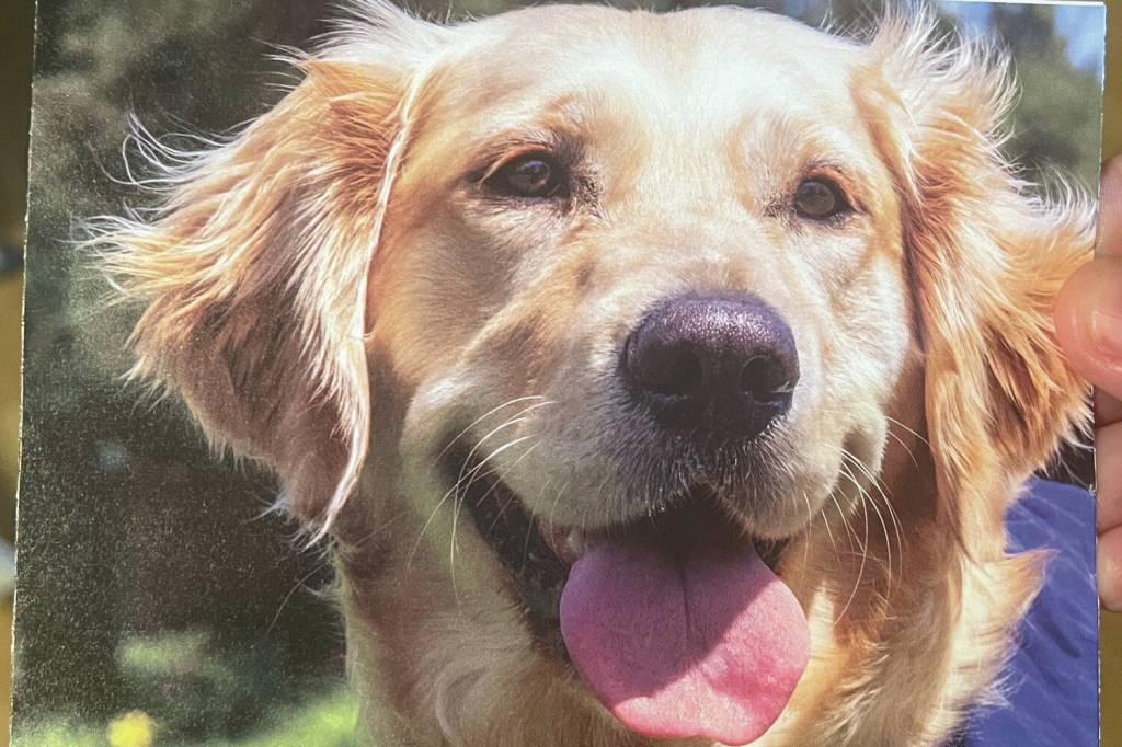 Toni Loop holds a homemade greeting cards intended for donation to military servicemembers.