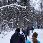 A procession of snowshoers moves down a trail in the Kenai National Wildlife Refuge near Soldotna, Alaska, on Saturday, Jan. 6, 2024. (Jake Dye/Peninsula Clarion)