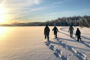 Snowshoers make fresh tracks on Headquarters Lake on a weekly guided walk at Kenai National Wildlife? Refuge. (Photo by USFWS/Leah Eskelin/USFWS)
