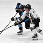 Erick Comstock of the Wisconsin Windigo and Dylan Contreras of the Kenai River Brown Bears battle for the puck Saturday, Jan. 20, 2024, at the Soldotna Regional Sports Complex in Soldotna, Alaska. (Photo by Jeff Helminiak/Peninsula Clarion)