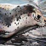 Rescued Seal Pup Release, Kenai River, Sept. 23, 2023, by Susan Watkins, is included as part of the Peoples Choice Judged Exhibition at the Kenai Art Center in Kenai, Alaska, on Wednesday, Jan. 31, 2024. (Jake Dye/Peninsula Clarion)