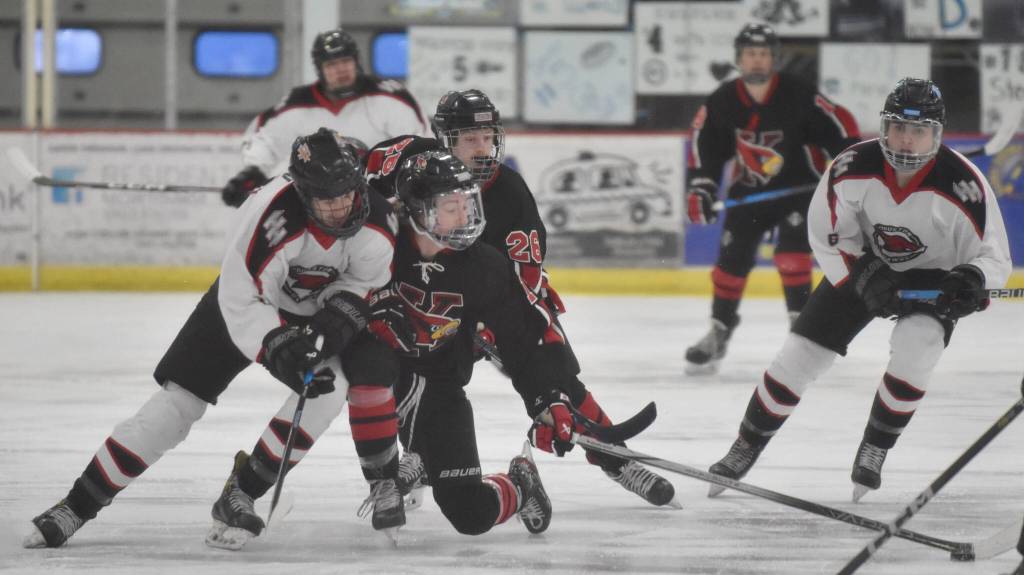 Houstons Afanasy Efimov tries to move Mason Vermette off the puck at the Division II state tournament Friday, Feb. 2, 2024, at the Soldotna Regional Sports Complex in Soldotna, Alaska. (Photo by Jeff Helminiak/Peninsula Clarion)