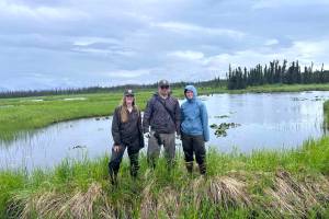 Summer seasonal field crews grow professionally through experiencing the beauty and the bounty of the Kenai National Wildlife Refuge. (Photo by USFWS)