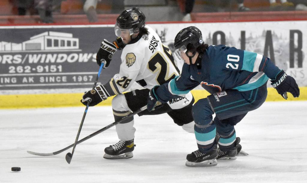 Kenai River Brown Bears forward Samuel Sisik makes a centering pass past Anchorage Wolverines defenseman Brock Devlin on Saturday, March 2, 2024, at the Soldotna Regional Sports Complex in Soldotna, Alaska. (Photo by Jeff Helminiak/Peninsula Clarion)