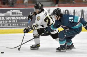 Kenai River Brown Bears forward Samuel Sisik makes a centering pass past Anchorage Wolverines defenseman Brock Devlin on Saturday, March 2, 2024, at the Soldotna Regional Sports Complex in Soldotna, Alaska. (Photo by Jeff Helminiak/Peninsula Clarion)