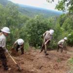 A YCC crew constructs a reroute on Skyline trail. (Photo by USFWS)