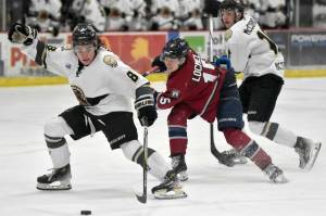 Kenai River Brown Bears forward Dylan Contreras protects the puck from Fairbanks Ice Dogs defenseman Ingus Locmelis on Saturday, March 16, 2024, at the Soldotna Regional Sports Complex in Soldotna, Alaska. (Photo by Jeff Helminiak/Peninsula Clarion)