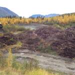 A slash pile containing non-organic construction debris is seen at the Snug Harbor Slash Disposal site on Sept. 22, 2020, in Cooper Landing, Alaska. (Photo courtesy Kenai Peninsula Borough Land Management)