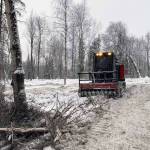 Winter is the time for fuel break projects. (Photo by Jeff Bouschor/USFWS)