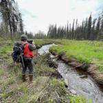 Wetlands are surveyed by the Kachemak Heritage Land Trust. (Photo provided by the Kachemak Heritage Land Trust)