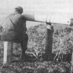 Happy Valley homesteader Wayne Jones looks through the telescope built by Rex Hanks, circa 1950. (Photo from The Pioneers of Happy Valley, 1944-1964, by Ella Mae McGann)