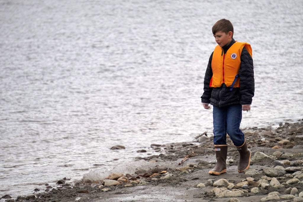 Students of Soldotna Montessori Charter School comb for trash along the banks of the Kenai River at Centennial Park in Soldotna, Alaska, on Thursday, May 2, 2024. (Jake Dye/Peninsula Clarion)
